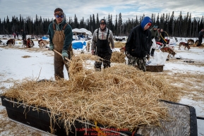 Volunteers including John Runkle rake straw at the Nikolai checkpoint during Iditarod 2016.  Alaska.  March 08, 2016.  Photo by Jeff Schultz (C) 2016 ALL RIGHTS RESERVED