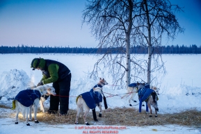Linwood Fiedler boots his dogs as he prepares to leave the Tanana checkpoint during the 2017 Iditarod on Wednesday morning March 8, 2017.Photo by Jeff Schultz/SchultzPhoto.com  (C) 2017  ALL RIGHTS RESERVED