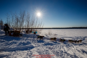 Anna Berington runs down the bank and onto the Yukon River at the Tanana checkpoint during the 2017 Iditarod on Wednesday afternoon March 8, 2017.Photo by Jeff Schultz/SchultzPhoto.com  (C) 2017  ALL RIGHTS RESERVED