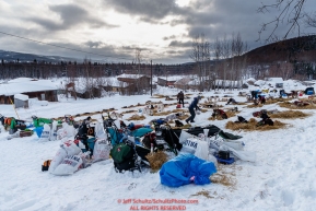 Teams rest on a hillside at the Takotna checkpoint durig their 24-hour layover on Wednesday afternoon during the 2018 Iditarod Sled Dog Race -- AlaskaPhoto by Jeff Schultz/SchultzPhoto.com  (C) 2018  ALL RIGHTS RESERVED