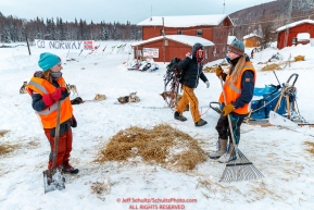 Norwegian volunteers rake used straw as Tim Muto and team rest at the Takotna checkpoint on Thursday, March 8th during the 2018 Iditarod Sled Dog Race -- AlaskaPhoto by Jeff Schultz/SchultzPhoto.com  (C) 2018  ALL RIGHTS RESERVED