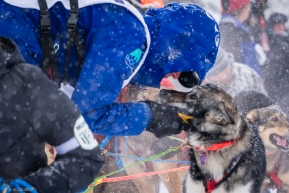 Anna Berington and one of her dogs checking in with each other before the re-start of the 2020 Iditarod in Willow, Alaska.