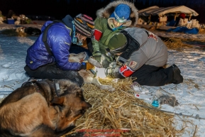 Volunteer vets examine a Ryne Olson dog in the early morning at the Nikolai checkpoint during Iditarod 2016.  Alaska.  March 09, 2016.  Photo by Jeff Schultz (C) 2016 ALL RIGHTS RESERVED