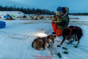 Volunteer vet Sterling Thomas checks over Tom Jamgochian dogs at the Nikolai checkpoint during Iditarod 2016.  Alaska.  March 09, 2016.  Photo by Jeff Schultz (C) 2016 ALL RIGHTS RESERVED