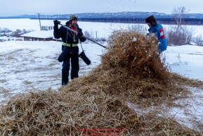 Volunteer trail helpers Dave Dye (left) and Peter Basilides rake straw after a team left the Ruby checkpoint during the 2017 Iditarod on Thursday morning March 9, 2017.Photo by Jeff Schultz/SchultzPhoto.com  (C) 2017  ALL RIGHTS RESERVED