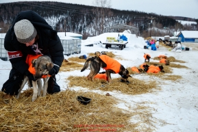 Volunteer vet Kelly Harper examines Stormy, a Martin Buser dog at the Ruby checkpoint during the 2017 Iditarod on Thursday morning March 9, 2017.Photo by Jeff Schultz/SchultzPhoto.com  (C) 2017  ALL RIGHTS RESERVED