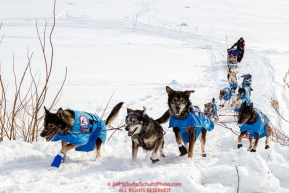 Noah Burmeister and team run up the hill from the Yukon River into at the Galena checkpoint during the 2017 Iditarod on Thursday afternoon March 9, 2017.Photo by Jeff Schultz/SchultzPhoto.com  (C) 2017  ALL RIGHTS RESERVED