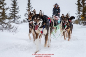 Emily Maxwell's team runs on the trail just priort to the Iditarod checkpoint on Friday, March 9th during the 2018 Iditarod Sled Dog Race -- AlaskaPhoto by Jeff Schultz/SchultzPhoto.com  (C) 2018  ALL RIGHTS RESERVED