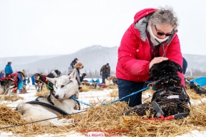 Volunteer veterinarian Tanja Kruse examines a Bradley Farquar dog at the Iditarod checkpoint on Friday, March 9th during the 2018 Iditarod Sled Dog Race -- AlaskaPhoto by Jeff Schultz/SchultzPhoto.com  (C) 2018  ALL RIGHTS RESERVED