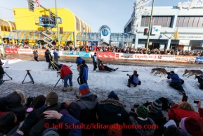 Norwegian Yvonne Dabakk leaves the starting chute during the 2014 ceremonial Iditarod start in Anchorage, Alaska.Iditarod Sled Dog Race 2014PHOTO (c) BY JEFF SCHULTZ/IditarodPhotos.com -- REPRODUCTION PROHIBITED WITHOUT PERMISSION