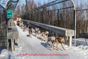 Veteran musher, Linwood Fiedler, drives his dog team along a bridge crossing Northern Lights Blvd. during the ceremonial start to Iditarod 2014 start in Anchorage, Alaska.Iditarod Sled Dog Race 2014PHOTO (c) BY JEFF SCHULTZ/IditarodPhotos.com -- REPRODUCTION PROHIBITED WITHOUT PERMISSION
