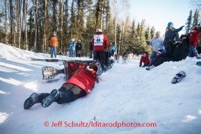 Jan Steves ' drag sled handler takes a spill and is dragged on the bike trail during the Iditarod 2014 Ceremonial start in downtown Anchorage, Alaska.Iditarod Sled Dog Race 2014PHOTO (c) BY JEFF SCHULTZ/IditarodPhotos.com -- REPRODUCTION PROHIBITED WITHOUT PERMISSION
