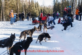 Pete Kaiser dogs come upon a stopped Jan Steves on the trail during the Iditarod 2014 Ceremonial start in downtown Anchorage, Alaska.Iditarod Sled Dog Race 2014PHOTO (c) BY JEFF SCHULTZ/IditarodPhotos.com -- REPRODUCTION PROHIBITED WITHOUT PERMISSION