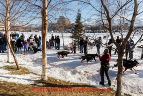 Ralph Johannessen, of Norway, drives his team along a ski trail near the Alaska Native Hospital, as fans young and old, offer encouragement during the ceremonial start to Iditarod 2014 in Anchorage, Alaska.Iditarod Sled Dog Race 2014PHOTO (c) BY JEFF SCHULTZ/IditarodPhotos.com -- REPRODUCTION PROHIBITED WITHOUT PERMISSION