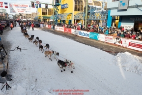 Anna Berington leaves the start line on 4th avenue during the ceremonial start of the 2019 Iditarod in downtown Anchorage, Alaska on Saturday March 2.Photo by Jeff Schultz/  (C) 2019  ALL RIGHTS RESERVED