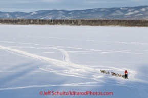 Saturday March 10, 2012 Ryne Olson leaves the Ruby checkpoint and drops onto the frozen Yukon River. Iditarod 2012.