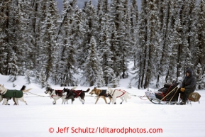 Josh Cadzow sits on his sled as his team makes its way down the trail a few miles after leaving the Kaltag checkpoint on Sunday March 10, 2013.Iditarod Sled Dog Race 2013Photo by Jeff Schultz copyright 2013 DO NOT REPRODUCE WITHOUT PERMISSION