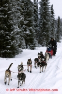 Mike Williams, Jr., leaves the Kaltag checkpoint on Sunday March 10, 2013.Iditarod Sled Dog Race 2013Photo by Jeff Schultz copyright 2013 DO NOT REPRODUCE WITHOUT PERMISSION