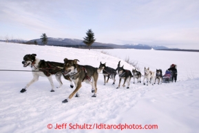 Kelley Griffin comes off the banks of the Yukon River into the village of Kaltag on Sunday March 10, 2013.Iditarod Sled Dog Race 2013Photo by Jeff Schultz copyright 2013 DO NOT REPRODUCE WITHOUT PERMISSION