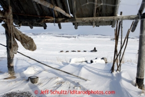 Sonny Lindner passes a race marker as he heads into the Unalakleet checkpoint on Sunday March 10, 2013.Iditarod Sled Dog Race 2013Photo by Jeff Schultz copyright 2013 DO NOT REPRODUCE WITHOUT PERMISSION