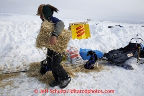 Sonny Lindner distributes straw to his resting dogs at the Unalakleet checkpoint on Sunday March 10, 2013.Iditarod Sled Dog Race 2013Photo by Jeff Schultz copyright 2013 DO NOT REPRODUCE WITHOUT PERMISSION