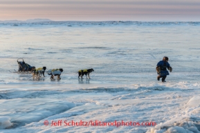 Abbie West leads her dogs to the trail on the glare ice of Norton Bay in front of Koyuk on Monday March 10, during the Iditarod Sled Dog Race 2014.PHOTO (c) BY JEFF SCHULTZ/IditarodPhotos.com -- REPRODUCTION PROHIBITED WITHOUT PERMISSION