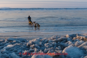 Abbie West crosses the glare ice in 20 mph wind at Koyuk on Monday March 10, during the Iditarod Sled Dog Race 2014.PHOTO (c) BY JEFF SCHULTZ/IditarodPhotos.com -- REPRODUCTION PROHIBITED WITHOUT PERMISSION