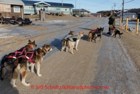 Sonny Lindner drives his team through snow-less Golovin on Monday, March 10, during the Iditarod Sled Dog Race 2014.PHOTO (c) BY JEFF SCHULTZ/IditarodPhotos.com -- REPRODUCTION PROHIBITED WITHOUT PERMISSION