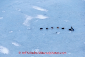 Ray Redington Jr. on the glare sea ice of Golovin Bay nearing Golovin on Monday, March 10, during the Iditarod Sled Dog Race 2014.PHOTO (c) BY JEFF SCHULTZ/IditarodPhotos.com -- REPRODUCTION PROHIBITED WITHOUT PERMISSION