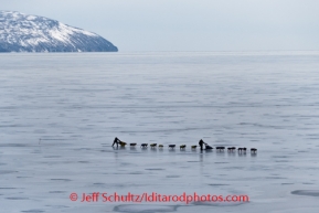 Hans Gatt runs behind Hugh Neff on the sea ice of Golovin Bay nearing Golovin on Monday, March 10, during the Iditarod Sled Dog Race 2014.PHOTO (c) BY JEFF SCHULTZ/IditarodPhotos.com -- REPRODUCTION PROHIBITED WITHOUT PERMISSION