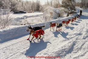 Joar Leifseth of Norway runs past the hot springs and steam rising as he leaves the checkpoint in Manley Hot Springs on March 10, 2015.   2015 Iditarod.(C) Jeff Schultz/SchultzPhoto.com - ALL RIGHTS RESERVED DUPLICATION  PROHIBITED  WITHOUT  PERMISSION