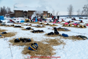 Teams rest in the early evening outside the Tanana community center on March 10, 2015.  2015 Iditarod.(C) Jeff Schultz/SchultzPhoto.com - ALL RIGHTS RESERVED DUPLICATION  PROHIBITED  WITHOUT  PERMISSION