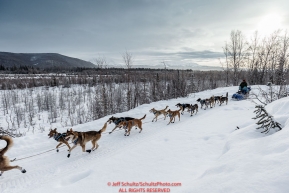 Karin Hendrickson runs down the road on her way to the Ophir Checkpoint on Thursday March 10 during Iditarod 2016.  Alaska.    Photo by Jeff Schultz (C) 2016  ALL RIGHTS RESERVED