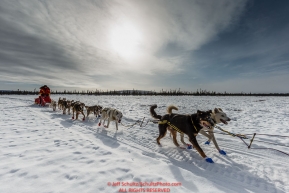Mitch Seavey on the trail just before the Cripple Checkpoint on Thursday March 10 during Iditarod 2016.  Alaska.    Photo by Jeff Schultz (C) 2016  ALL RIGHTS RESERVED
