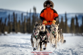 Pete Kaiser runs on the trail just before the Cripple checkpoint on Thursday March 10 during Iditarod 2016.  Alaska.    Photo by Jeff Schultz (C) 2016  ALL RIGHTS RESERVED