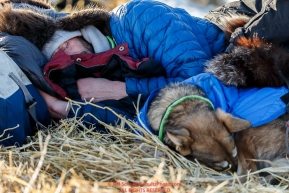 Nicolas Petit gets a nap with his team at the Cripple checkpoint on Thursday March 10 during Iditarod 2016.  Alaska.    Photo by Jeff Schultz (C) 2016  ALL RIGHTS RESERVED