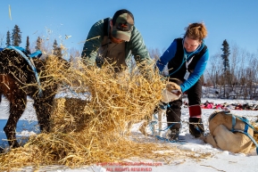 Michael Baker makes a bed of straw for his dogs as volunteer veterinarian Lori Baldwin examines them at the Galena checkpoint during the 2017 Iditarod on Friday afternoon March 10, 2017.Photo by Jeff Schultz/SchultzPhoto.com  (C) 2017  ALL RIGHTS RESERVED