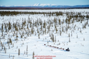 A team crosses through a spruce tree forest shortly after leaving the Galena checkpoint during the 2017 Iditarod on Friday afternoon March 10, 2017.Photo by Jeff Schultz/SchultzPhoto.com  (C) 2017  ALL RIGHTS RESERVED
