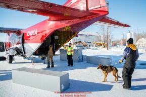 Dog drop handlers and Ryan Air employees load 72 dropped dogs into a CASA airplane at the Galena airport during the 2017 Iditarod on Friday afternoon March 10, 2017.Photo by Jeff Schultz/SchultzPhoto.com  (C) 2017  ALL RIGHTS RESERVED