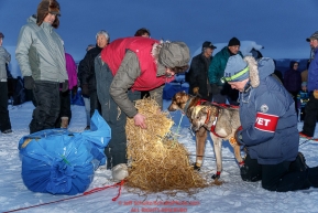 Veterinarian Greg Closter talks over the health of a dog with Nicolas Petit at the Kaltag village checkpoint on Saturday evening, March 10th during the 2018 Iditarod Sled Dog Race -- AlaskaPhoto by Jeff Schultz/SchultzPhoto.com  (C) 2018  ALL RIGHTS RESERVED