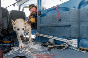 Race Judge Warren Palfrey loads a dropped dog into pilot Jerry Wortley's plane at the ghost-town checkpoint of Iditarod on Saturday, March 10th during the 2018 Iditarod Sled Dog Race -- AlaskaPhoto by Jeff Schultz/SchultzPhoto.com  (C) 2018  ALL RIGHTS RESERVED