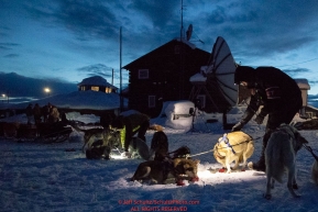 Volunteer veterinarian Seth Nienhueser examins a Lindwood Fiedler dog as dawn breaks at the Kaltag checkpoint on Sunday March 10th during the 2019 Iditarod Trail Sled Dog Race.Photo by Jeff Schultz/  (C) 2019  ALL RIGHTS RESERVED