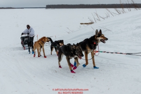 Robert Redington and team run up the bank of the Yukon and into the Kaltag checkpoint on Sunday afteroon March 10th during the 2019 Iditarod Trail Sled Dog Race.Photo by Jeff Schultz/  (C) 2019  ALL RIGHTS RESERVED