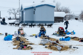 Volunteer Brandon Skeel leads Richie Beattie's team to a parking spot at the Kaltag checkpoint on Sunday afternoon March 10th during the 2019 Iditarod Trail Sled Dog Race.Photo by Jeff Schultz/  (C) 2019  ALL RIGHTS RESERVED