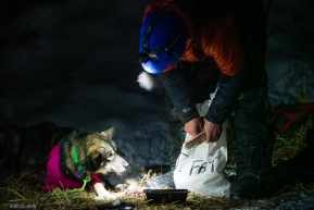 Front runners of the Iditarod into the McGrath Checkpoint start arriving the evening of March 10, 2020.