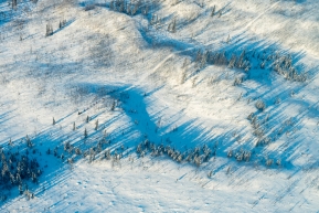 A sled dog team competing in the Iditarod covers roughly 75 miles between the Rohn and Nikolai checkpoints on March 10, 2020.
