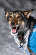 2026 McGrath Checkpoint