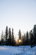 2026 McGrath Checkpoint