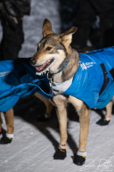 2026 McGrath Checkpoint