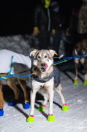 2026 McGrath Checkpoint